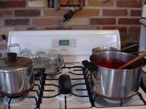 jars and wax ready to put on jam